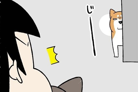 【漫画】第275話：ジッと見つめてくる…！妹猫にヤキモチを焼いちゃう柴犬さん【どんぐりちゃん】