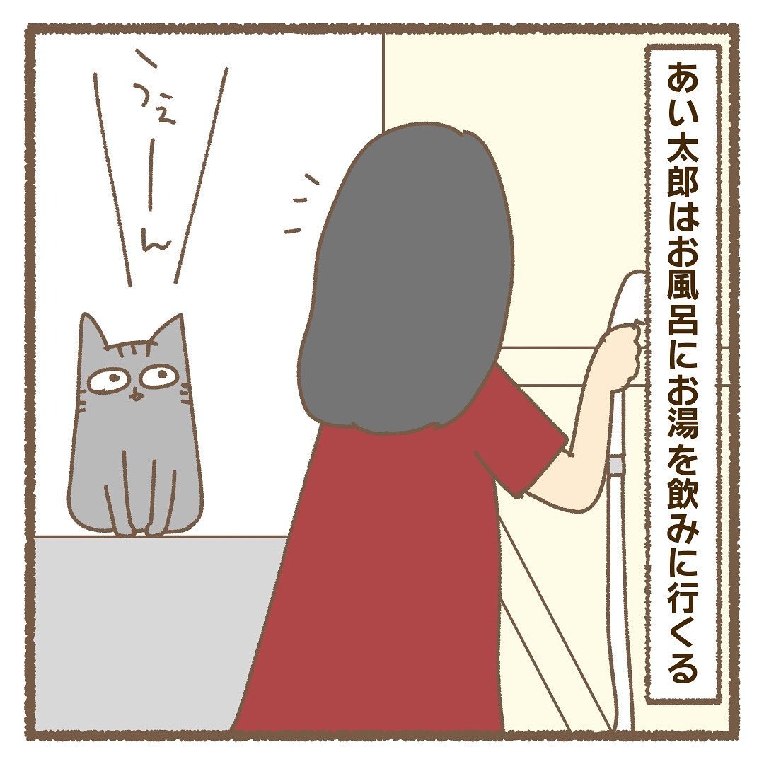 猫　お風呂に来る　漫画