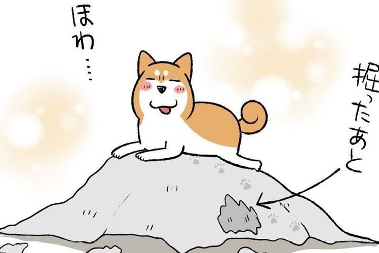 【漫画】第278話：可愛いお山の大将♡小さな山にも登りたがる柴犬さんにほっこり【どんぐりちゃん】