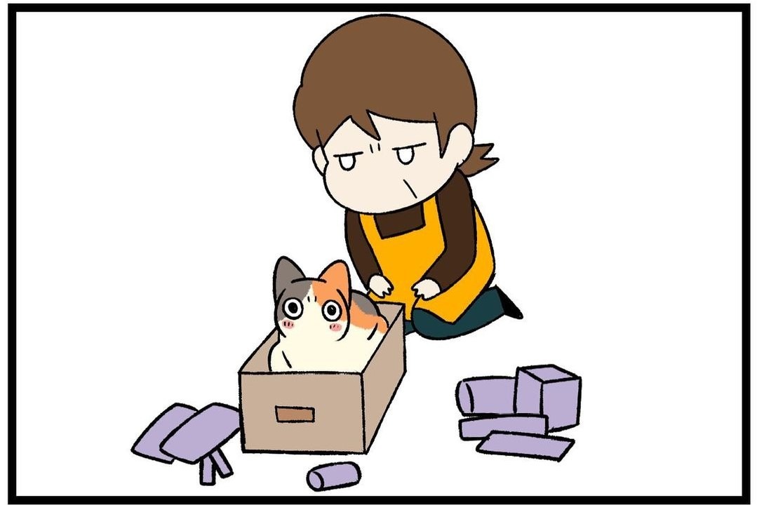 【漫画】第279話：「箱はわたしのものニャ」飼い主さんの片付けを邪魔する猫さん【たんぽぽちゃん】