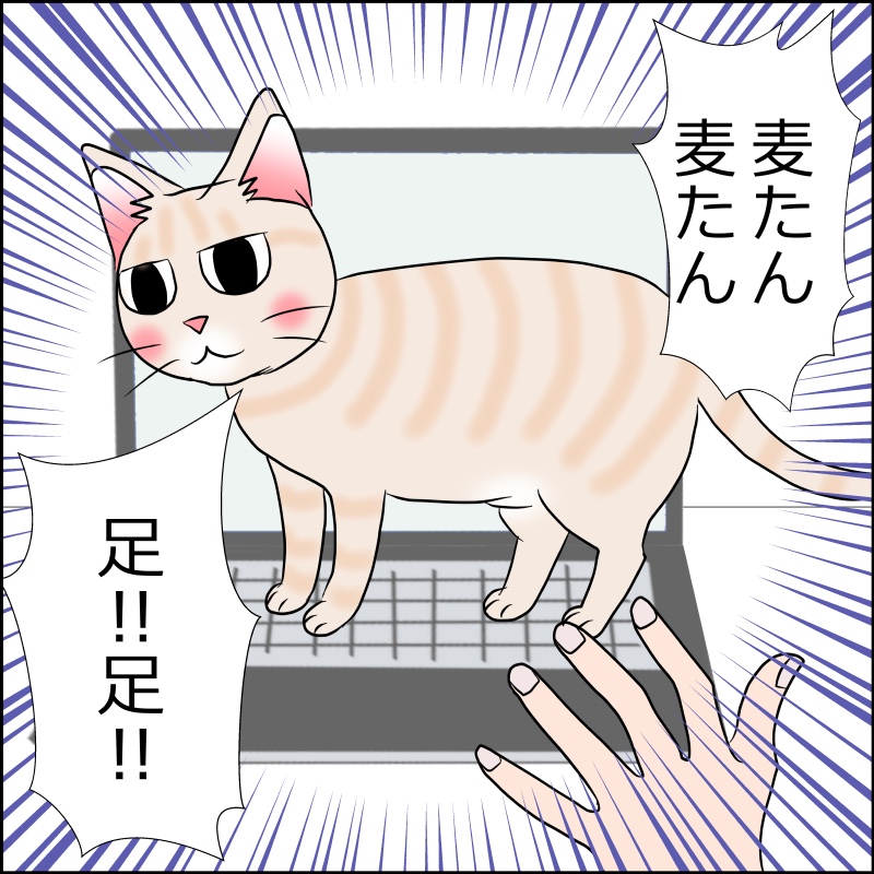 猫　パソコン　漫画