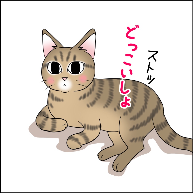 猫　くつろぐ　漫画