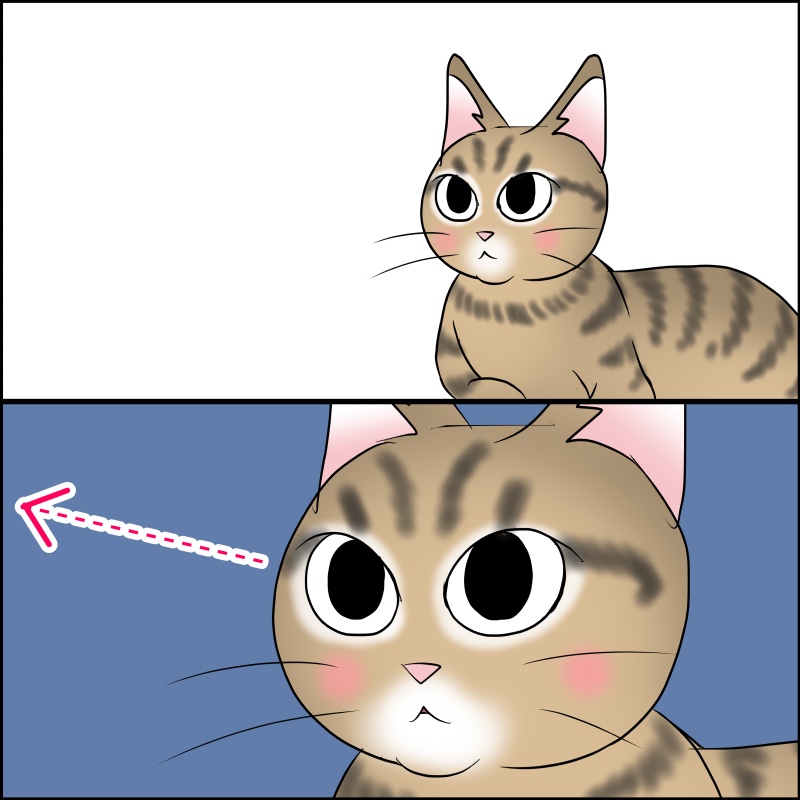 猫　凝視　漫画