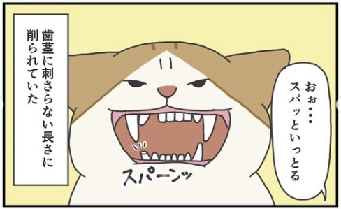猫　歯茎　漫画