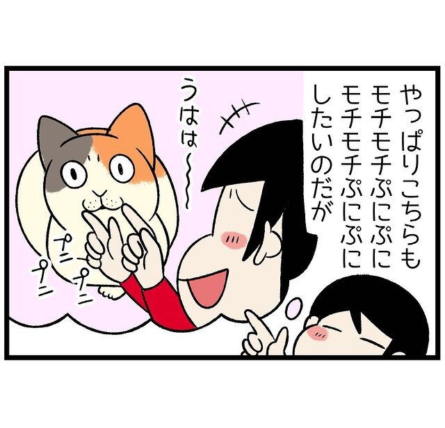 猫　触る　漫画