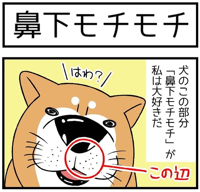犬　鼻　漫画