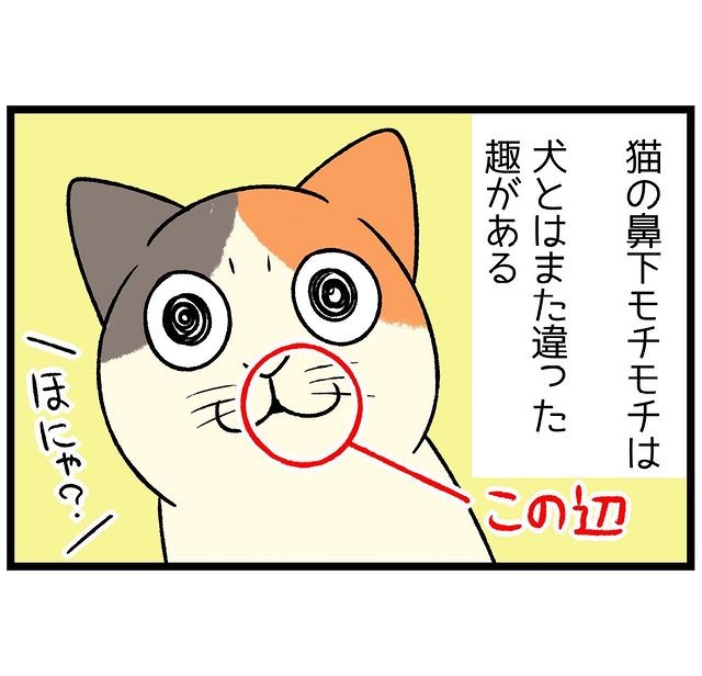 猫　鼻　漫画