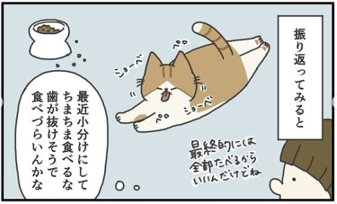 猫　小分けに食べる　漫画