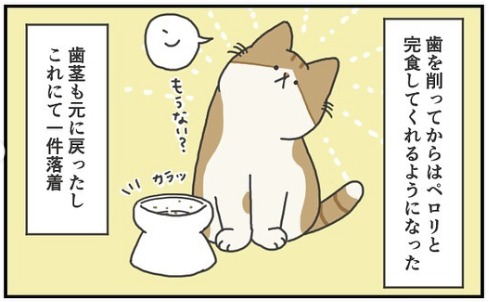 猫　完食　漫画