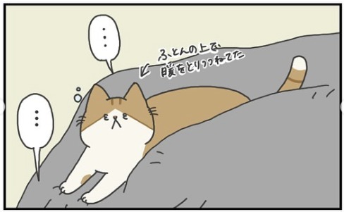 猫　布団　漫画