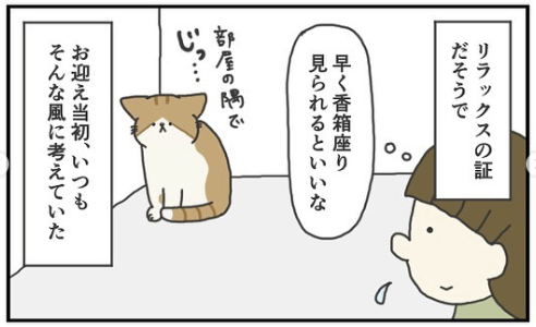 猫　部屋の隅　漫画