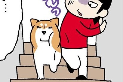 【漫画】第290話：絶対に一緒がいい！飼い主さんと並んで階段を降りたい柴犬さん【どんぐりちゃん】