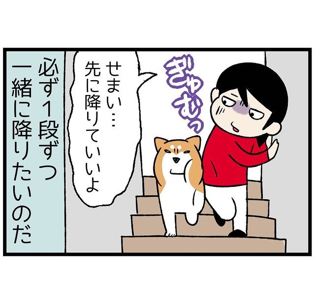 犬　階段　漫画