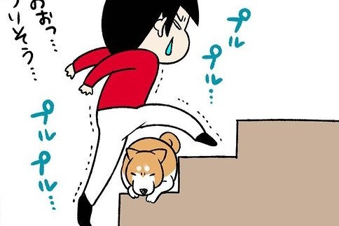 【漫画】第291話：筋トレになる…！階段のステップから退いてくれない柴犬さん【どんぐりちゃん】