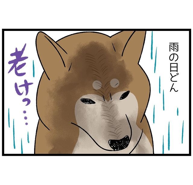 犬　老け顔　漫画
