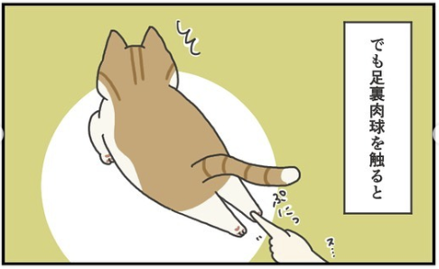 猫　足裏肉球　漫画