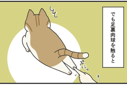 【漫画】第127話：手は良くても足はダメニャ！くつろいでいる時の「足裏ぶにっ」は許せない【ふとしくん】