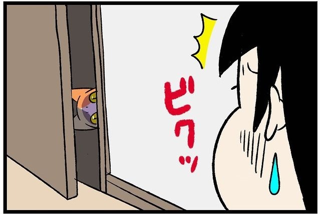 【漫画】第295話：ストーカーされている…。ドアの隙間から監視してくるニャンコ【たんぽぽちゃん】