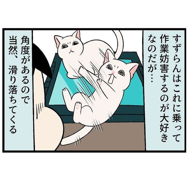 猫　滑る　漫画