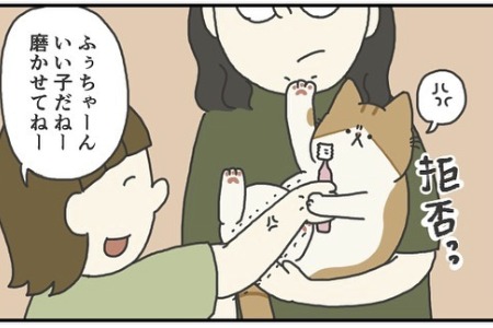 【漫画】第129話：猫友直伝！歯磨きイヤイヤニャンコも魔法の歯磨き粉で簡単に解決できる♪【ふとしくん】