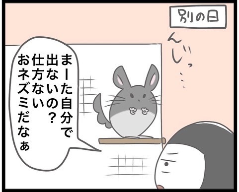 チンチラ　ケージ　漫画