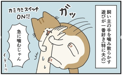 猫　噛む　漫画