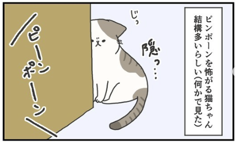 猫　怖がる　漫画