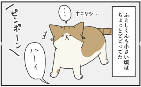 猫　ビビる　漫画