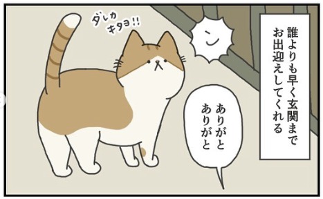 猫　お出迎え　漫画