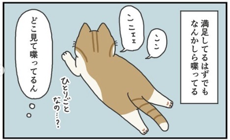 猫　寛ぐ　漫画