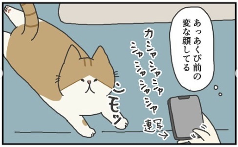 猫　スマホ　漫画