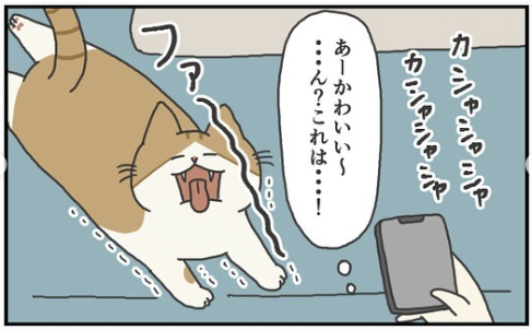 猫　あくび　漫画