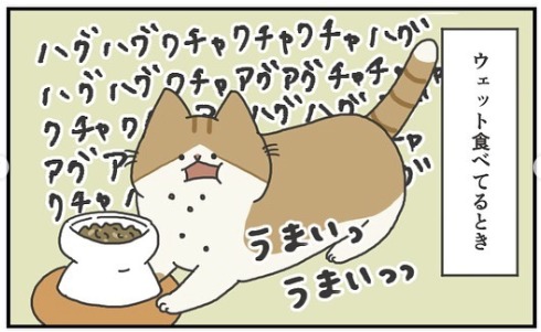 猫　夢中　漫画