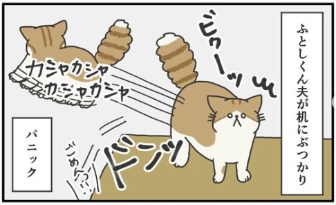 猫　パニック　漫画