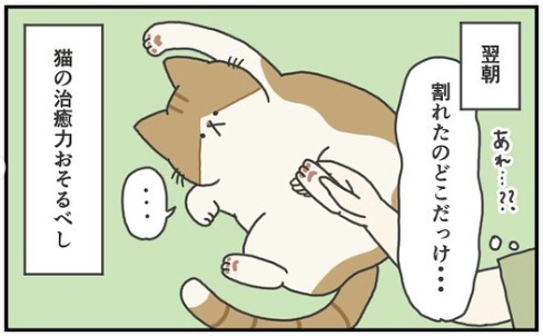 猫　治癒力　漫画