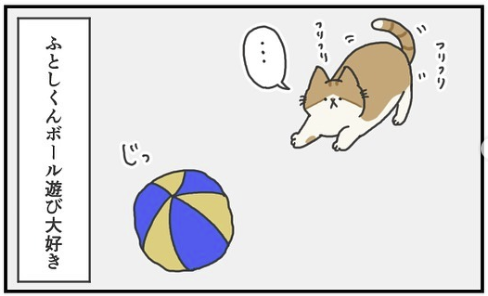 猫　ボール　漫画