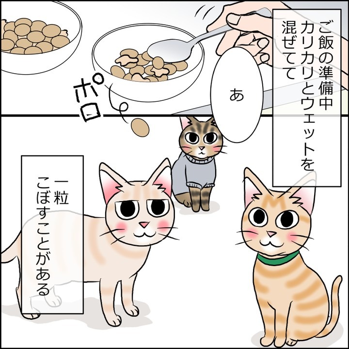 猫　ご飯　漫画
