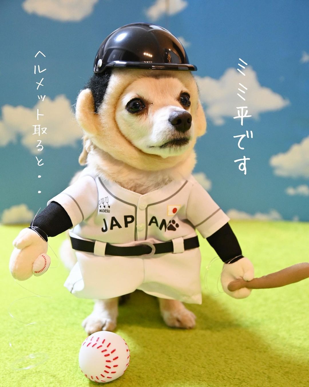 犬　野球の応援