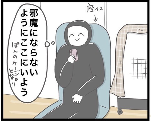 チンチラ　ケージ　漫画