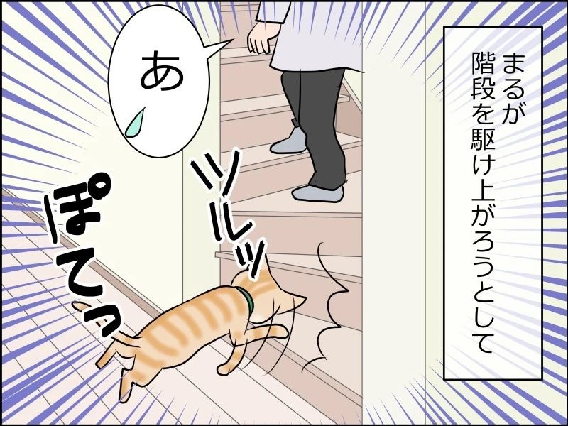 猫　階段　漫画