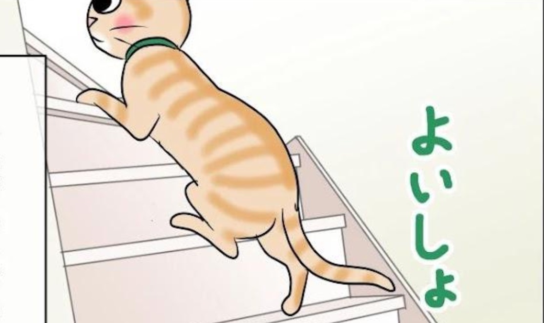 【漫画】第27話：失敗を活かすニャ！一歩ずつ階段を上がる慎重派な猫さん【まるくん】