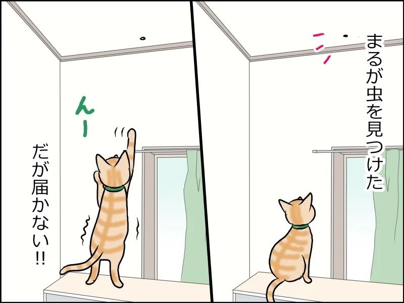 猫　虫　漫画