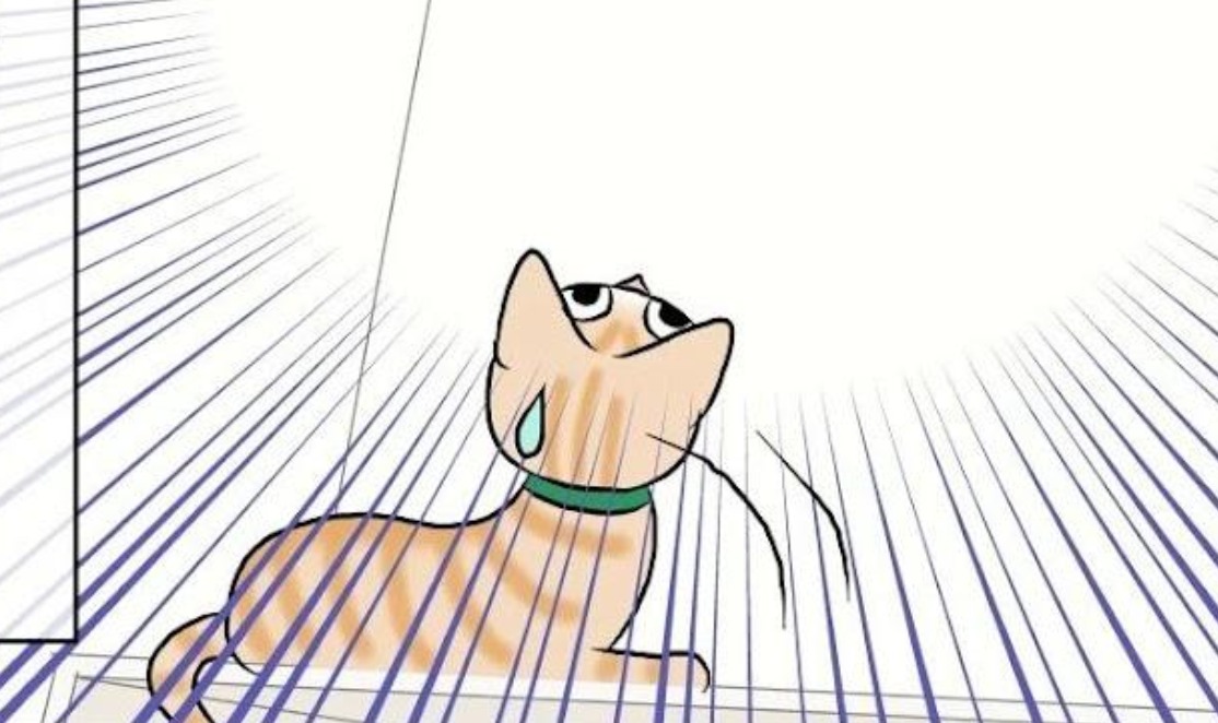 【漫画】第30話：どうしても気になる…！天井にいる虫が気になって寝られないニャンコ【まるくん】