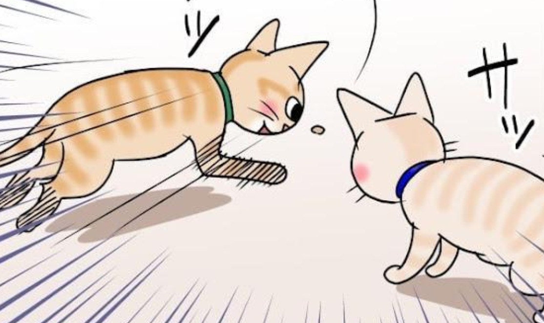 【漫画】第35話：ライバル現る？！“カリカリハンター”の猫くんにクスッ【麦くん】