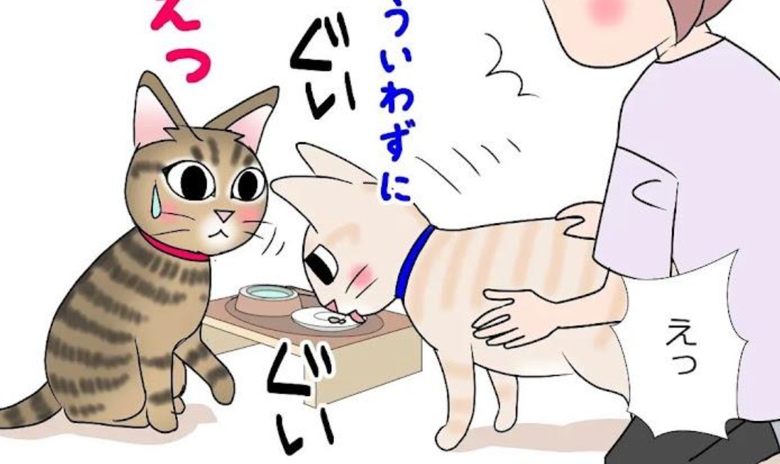 【漫画】第41話：注意されても止められない！同居猫のご飯を食べ続けるニャンコ【麦くん】
