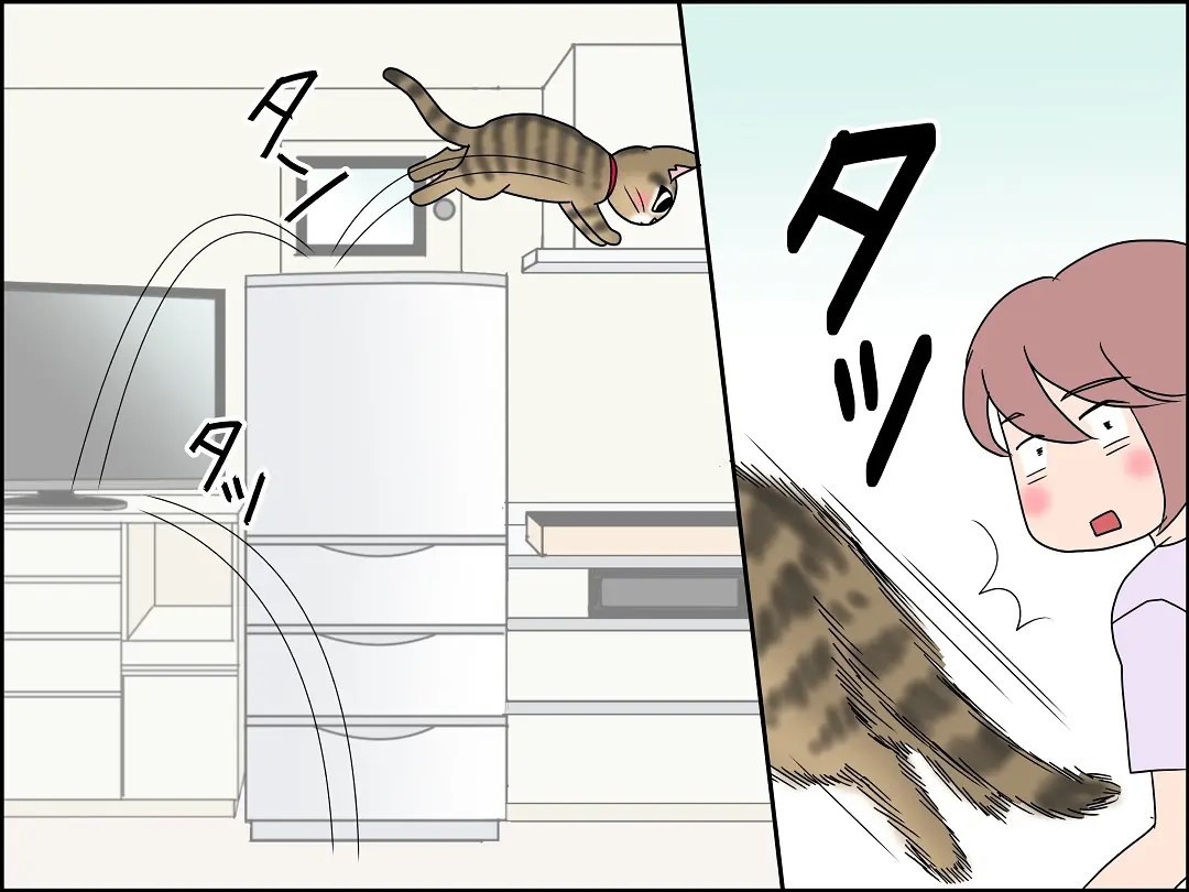 猫　駆けつける　漫画