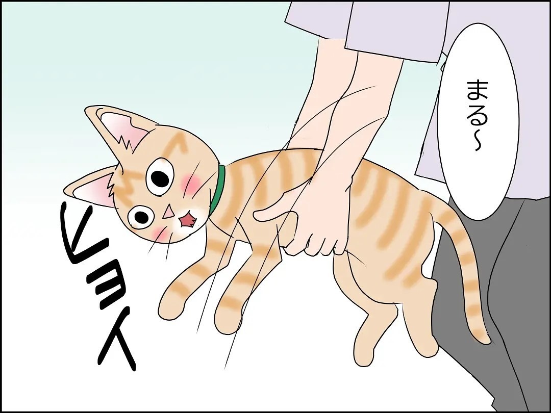 猫　抱っこ　漫画