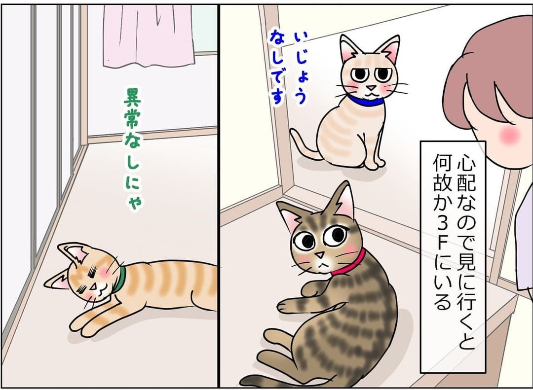 猫　平気　漫画