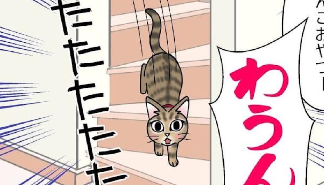 【漫画】第49話：ワンコになっちゃった！？“おやつ”に対する返事が面白い猫さん【あんこちゃん】