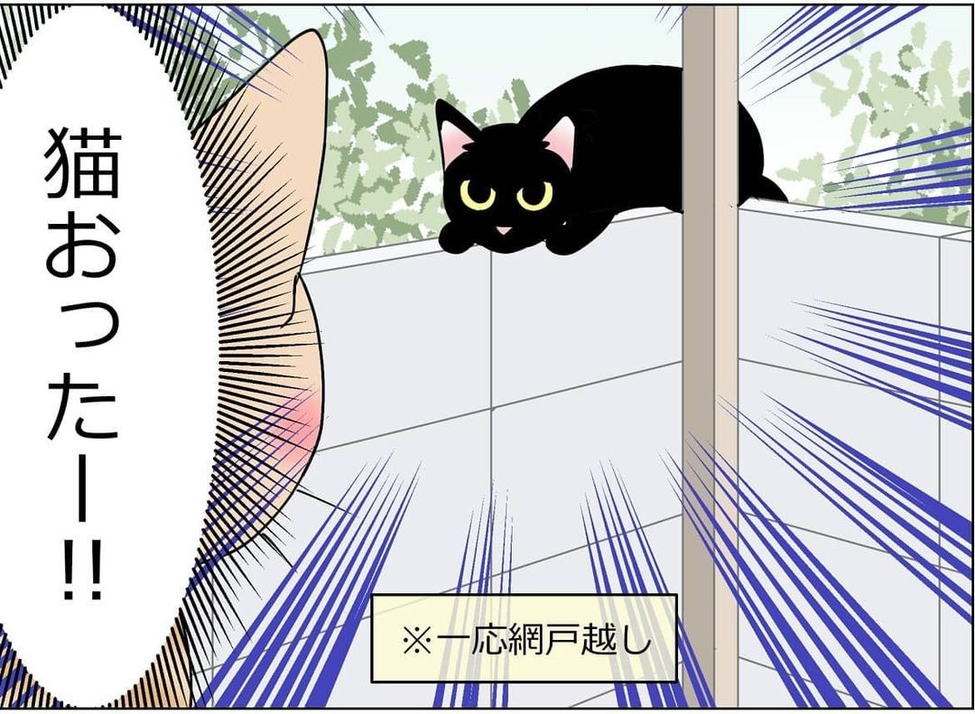 猫　外を見る　漫画
